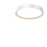 Потолочный светильник MAYTONI INCOGNITO MOD426CL-L32WK